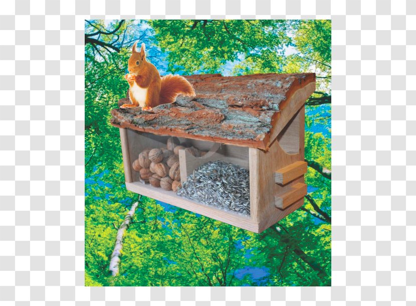 Red Squirrel Owl Bird House Transparent PNG