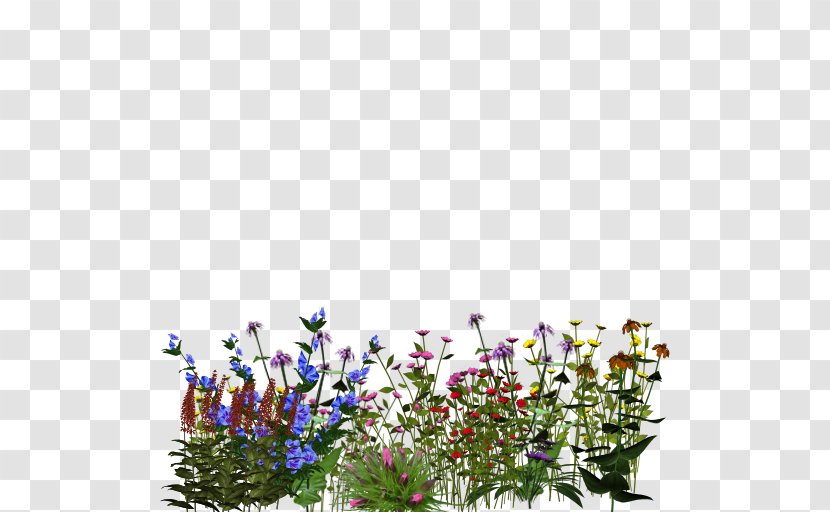Floral Design Flowering Plant Cut Flowers - Plants - Flower Transparent PNG