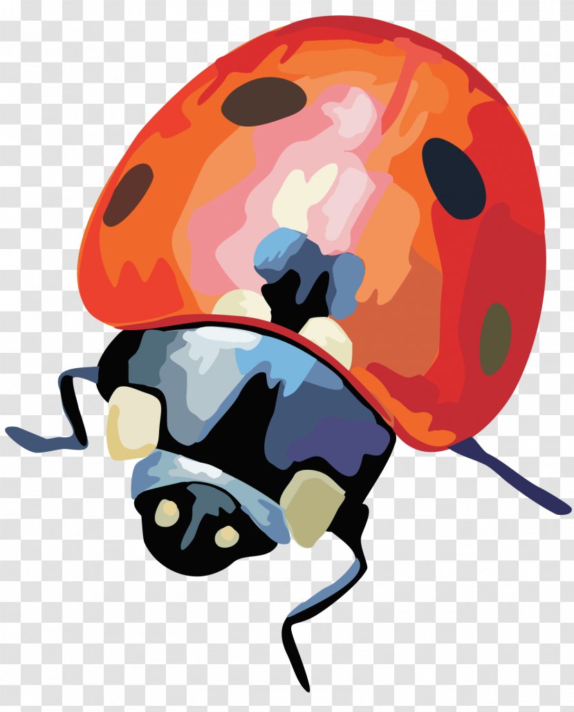 Beetle - Insect - Organism Transparent PNG