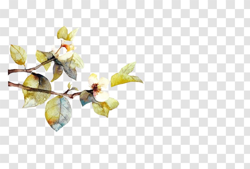 Watercolor Painting - Flowering Plant - Design Transparent PNG