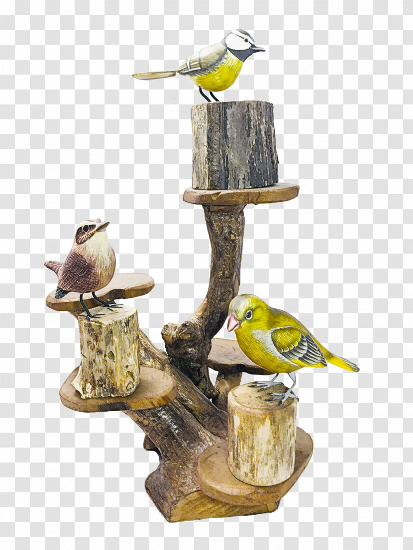 Birds Biology Science Transparent PNG