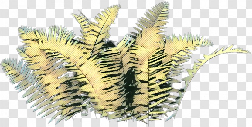 Vintage Background - Pop Art - Fern Vascular Plant Transparent PNG