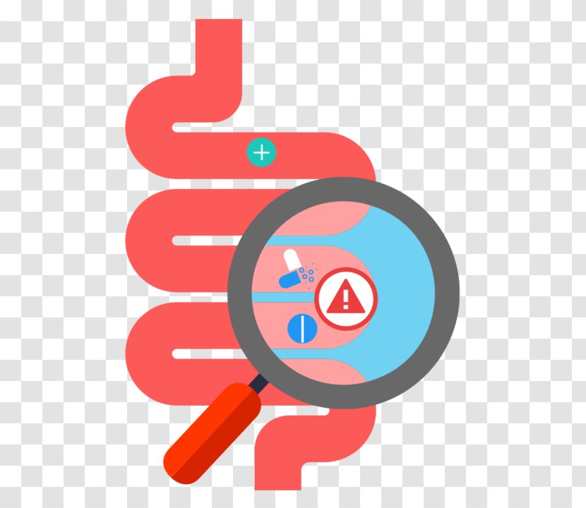Gastrointestinal Tract Digestion Human Digestive System Gut Flora Disease - Silhouette - Heart Transparent PNG