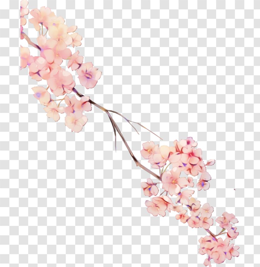 Watercolor Pink Flowers - Plant - Moth Orchid Fashion Accessory Transparent PNG