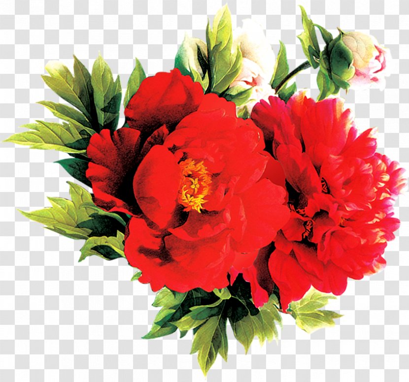 Floral Design Cut Flowers Carnation Flower Bouquet - Petal Transparent PNG