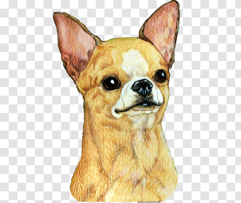Chihuahua Dog Breed Companion Toy Whiskers - Carnivoran - Art Transparent PNG