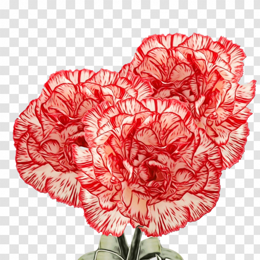 Floral Design Transparent PNG