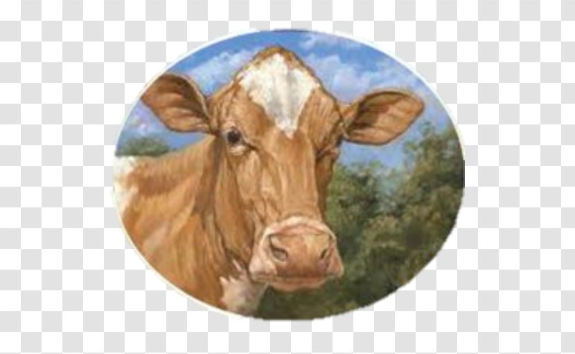 Dairy Cattle Guernsey Jersey Holstein Friesian Beef - Golden - Milk Transparent PNG