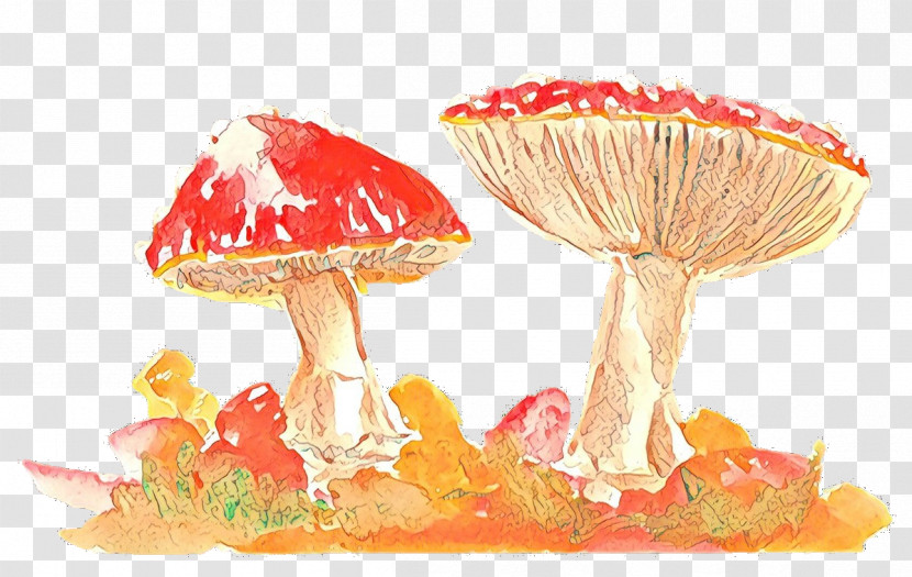 Mushroom Agaric Agaricomycetes Fungus Transparent PNG