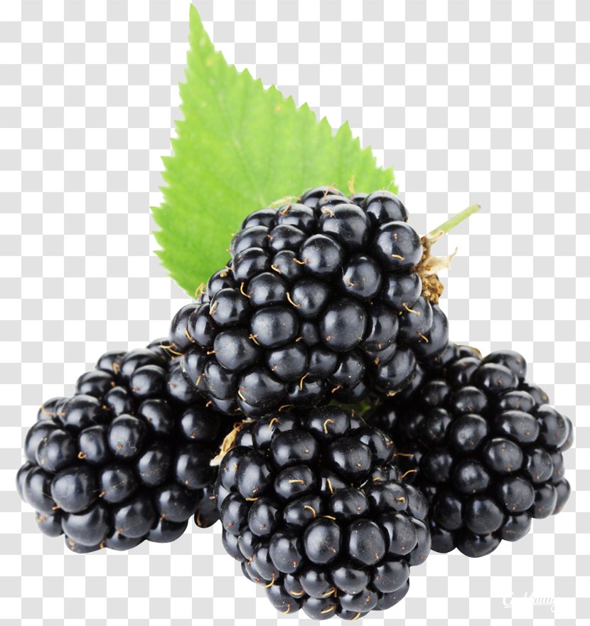 BlackBerry Fruit - Superfood - Blackberry Transparent PNG