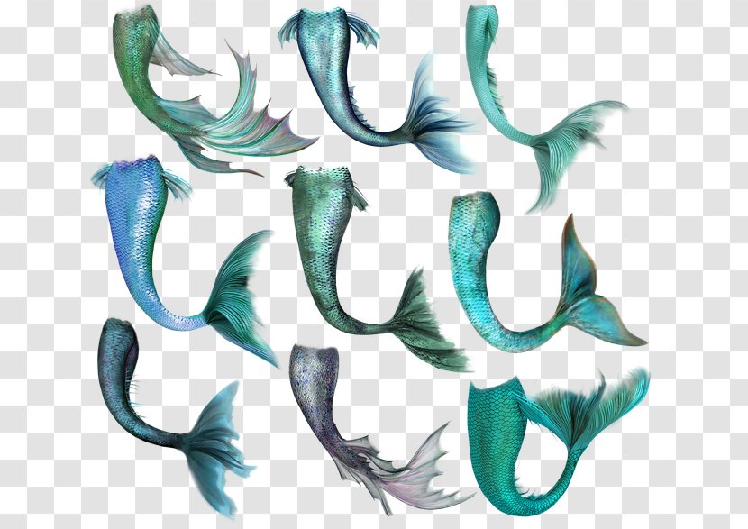 Mermaid Pyrstö Fish Tail - Organism Transparent PNG