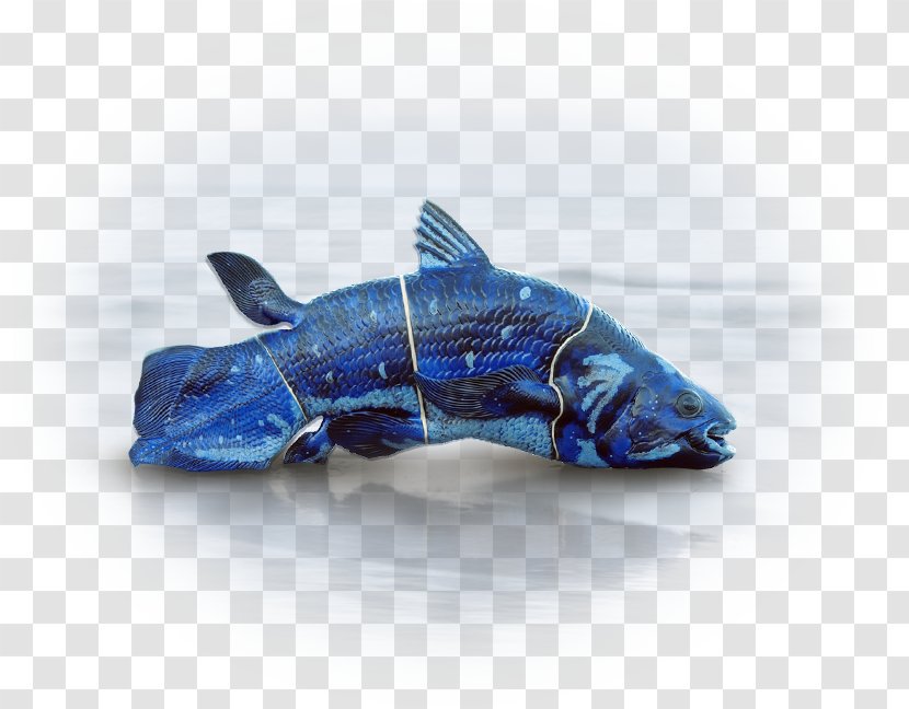 Dolphin Cobalt Blue Plastic Transparent PNG