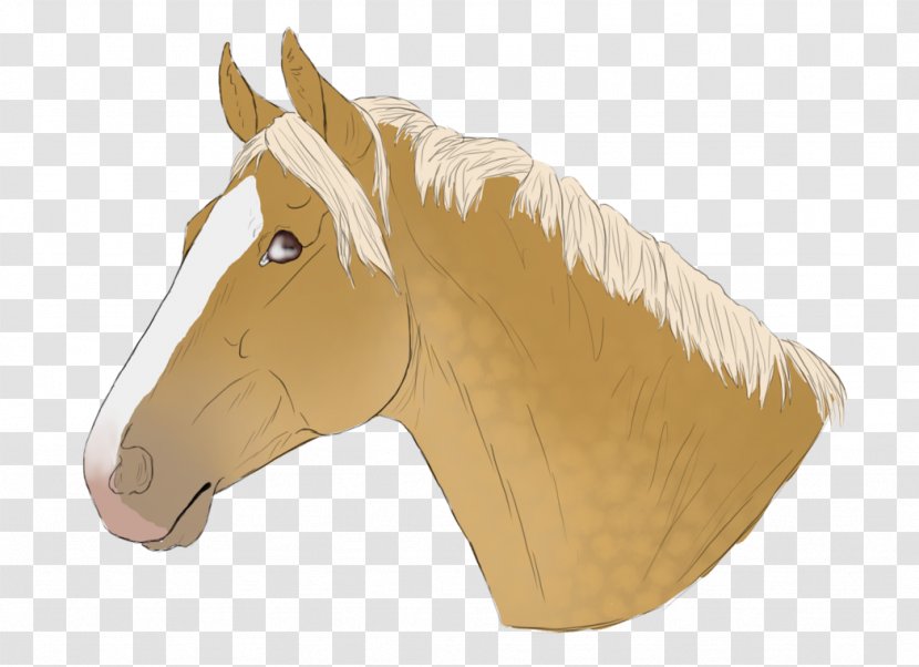 Mane Mustang Halter Pack Animal Rein - Cartoon Transparent PNG