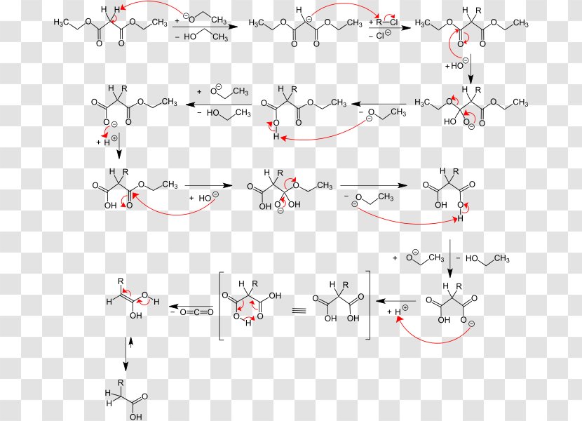 Malonic Ester Synthesis Acetoacetic Acid Chemical Reaction - Substitution Transparent PNG