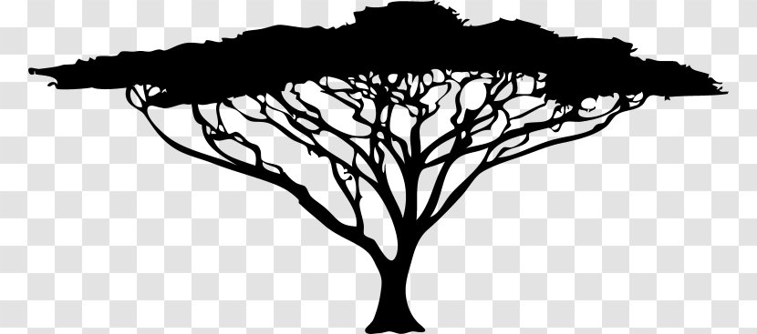 African Trees Silhouette Acacia Clip Art - Branch - Tree Transparent PNG