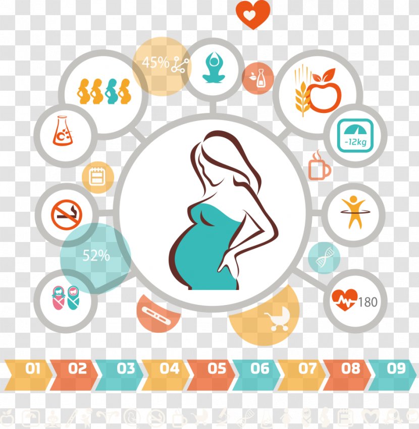 Pregnancy Infographic Woman Icon - Nutrition And - Pregnant Women Taboo Vector Information Transparent PNG