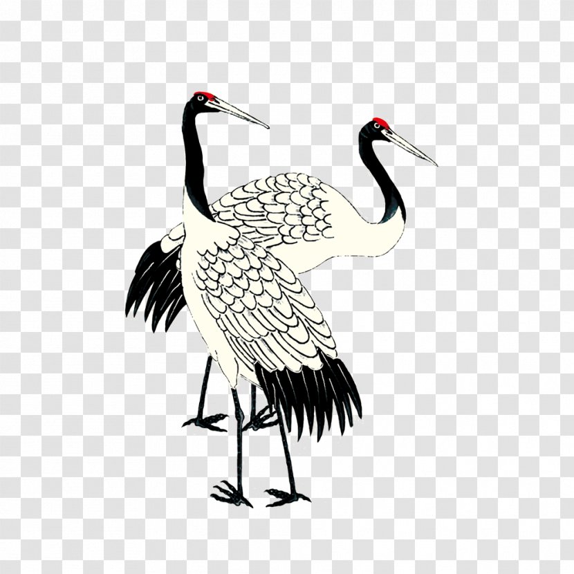 Red-crowned Crane Ink Wash Painting Art - Gongbi Transparent PNG