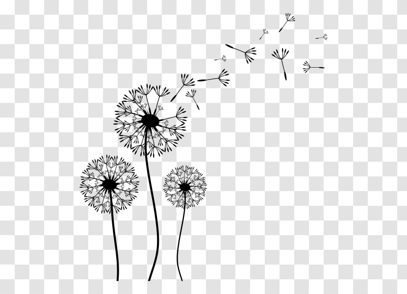 Dandelion Coffee Drawing Clip Art - Stock Photography Transparent PNG