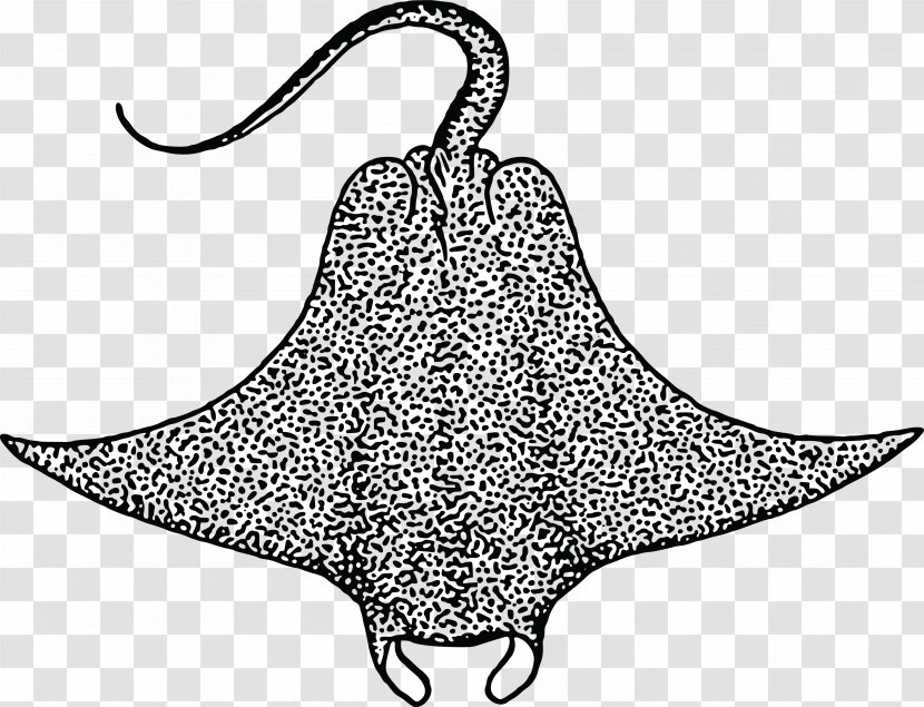 Devil Fish Giant Oceanic Manta Ray Myliobatoidei Clip Art - Drawing - Starfish Transparent PNG