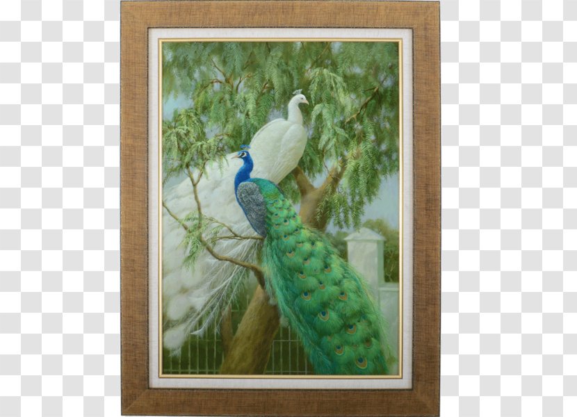 Feather Parrot Painting Fauna Beak Transparent PNG