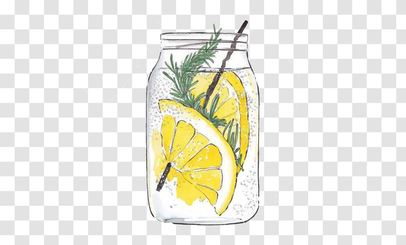 Lemonade Lemon-lime Drink Drawing Watercolor Painting - Gin And Tonic - Lemon Transparent PNG