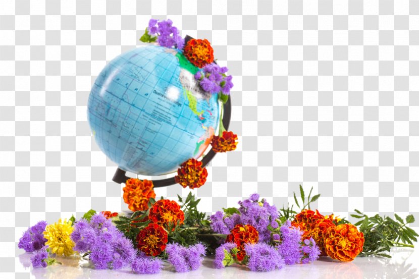 School Teacher Lesson Clip Art - Flower Arranging - Flowers On A Globe Transparent PNG