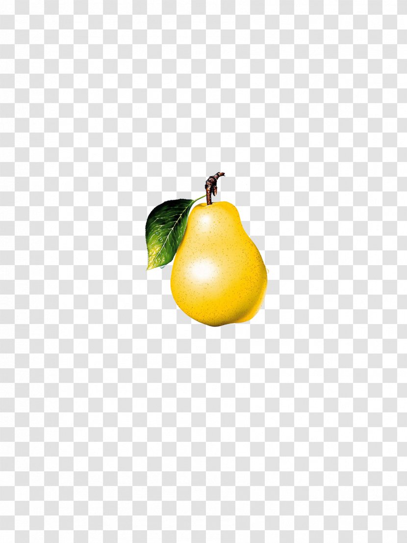 Pyrus Xd7 Bretschneideri Lemon - Pear - Yellow Transparent PNG