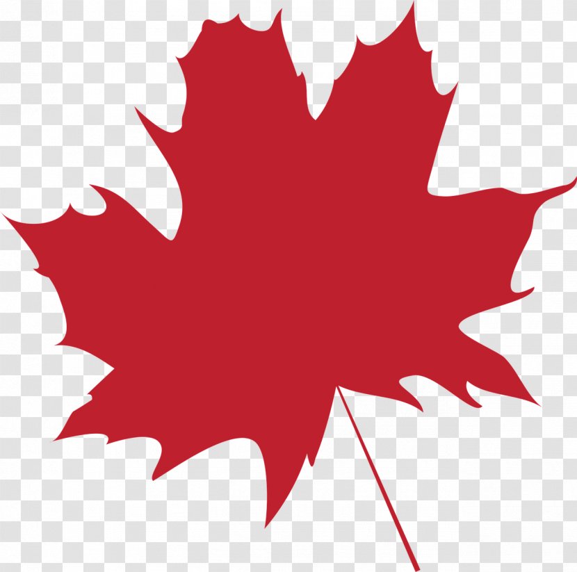 Maple Leaf Flag Of Canada Color - Folha Transparent PNG