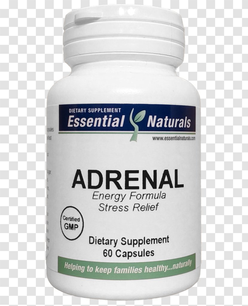 Dietary Supplement Product Service Medicine - Adrenal Gland Cartoon Transparent PNG