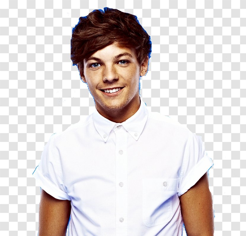 Louis Tomlinson Take Me Home Tour The X Factor One Direction - Silhouette Transparent PNG