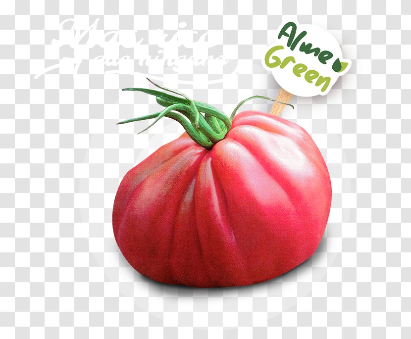 Beefsteak Tomato Food Greenhouse Vegetarian Cuisine - Nightshade Family Transparent PNG