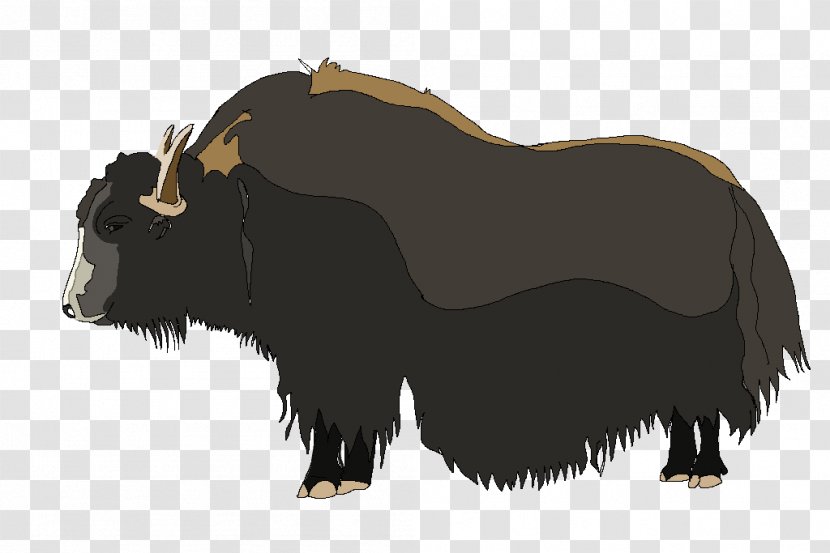 Cattle Domestic Yak Muskox Bison - Mammal Transparent PNG