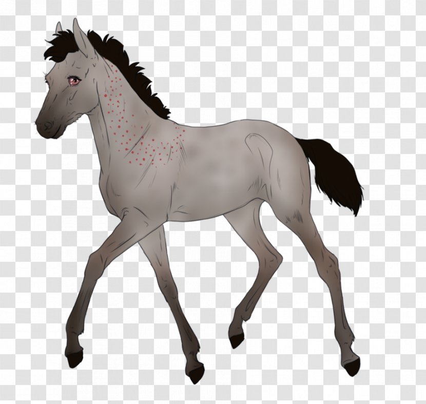 Mustang Arabian Horse Stallion Foal Pony - Morgan Transparent PNG