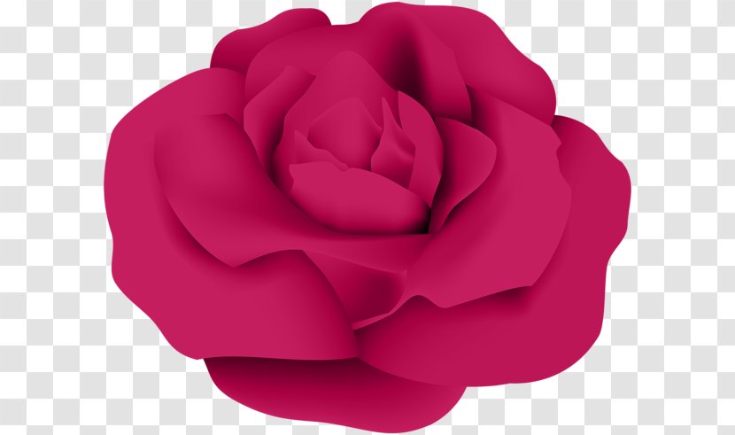 Garden Roses Cabbage Rose Flower Clip Art - Order Transparent PNG