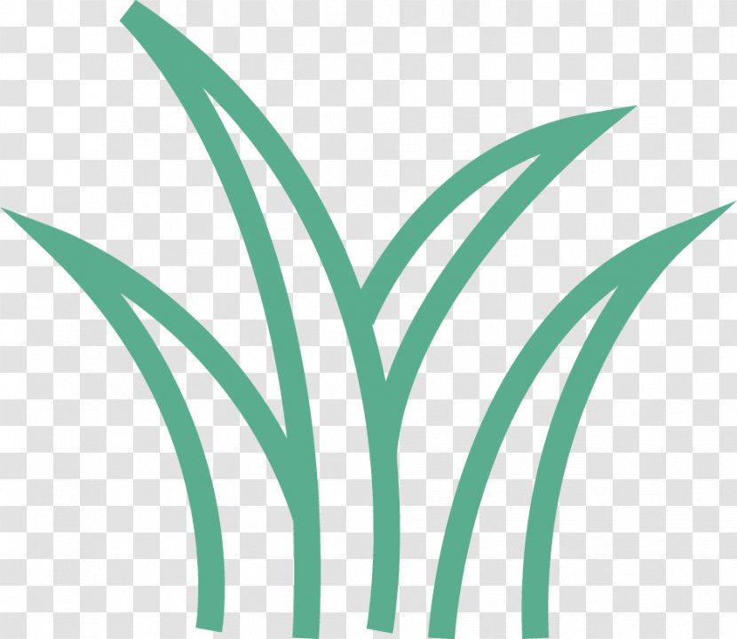 Leaf Logo Font Clip Art Plant Stem Transparent PNG