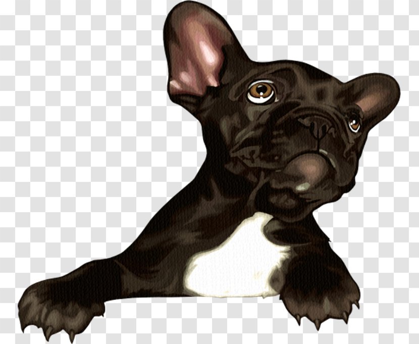 French Bulldog Toy Puppy Dog Breed Transparent PNG