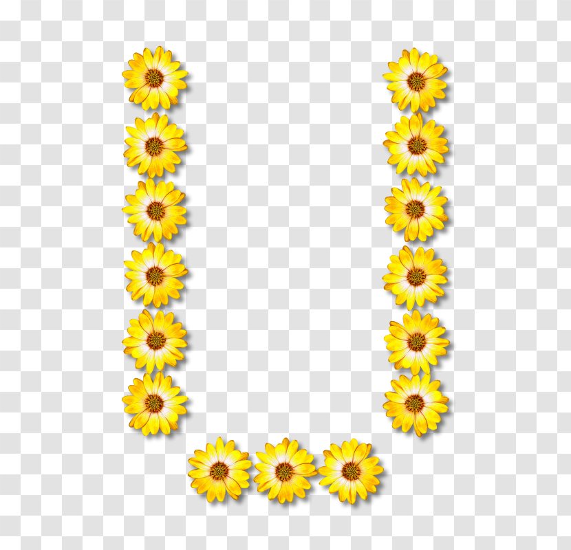 Alphabet Letter Floral Design Clip Art - Sunflower Seed - Flower Transparent PNG