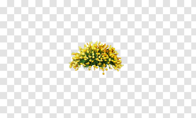 Flower Bouquet Nosegay - Lossless Compression - Of Flowers Transparent PNG