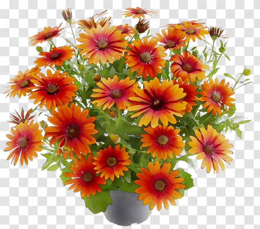 Chrysanthemum Floral Design Marguerite Daisy Transvaal Flower - Floristry - Arranging Transparent PNG
