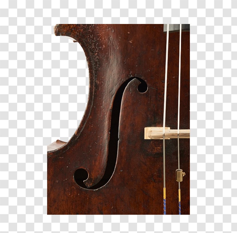 Bass Violin Viola Violone Double Octobass - Musical Instruments Transparent PNG