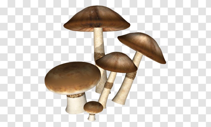 Icon - Poster - Dark Mushrooms Transparent PNG