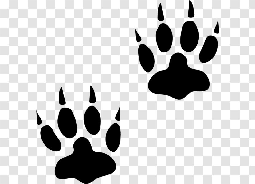 Bear Animal Track Paw Cat - Badger Transparent PNG