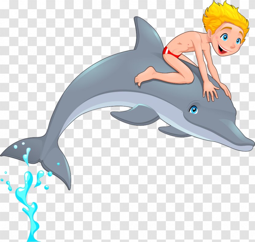 Common Bottlenose Dolphin Tucuxi Illustration - Cartoon - Vector Boy On Transparent PNG