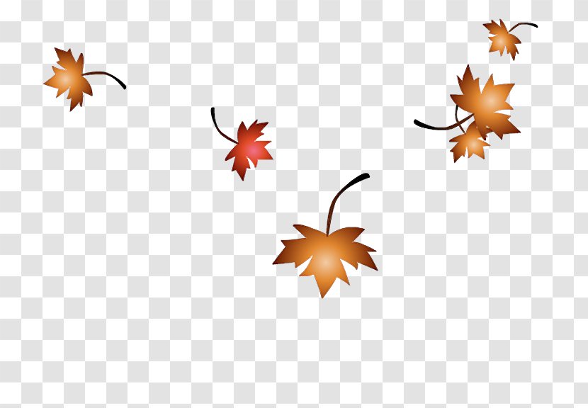 Maple Leaf SWF - Autumn Leaves Transparent PNG