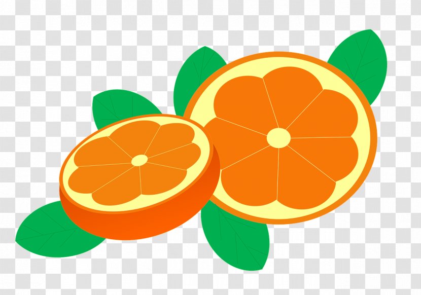 Mandarin Orange Visual Perception Food Vitamin - Eating Transparent PNG