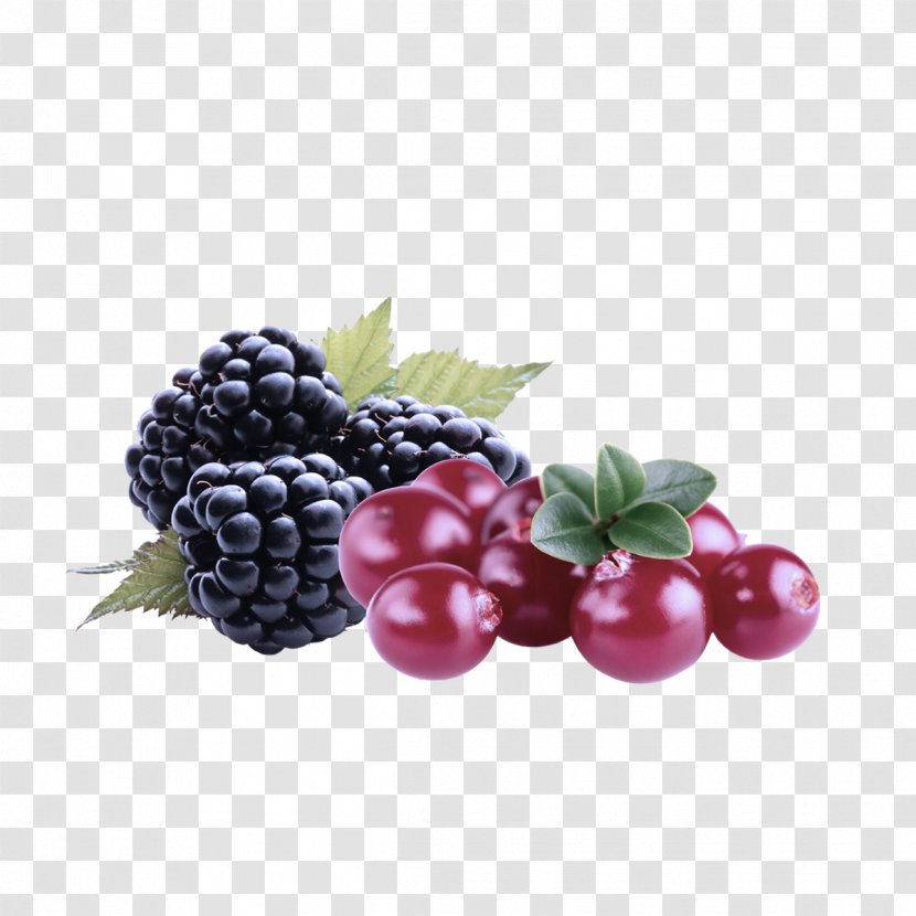 Berry Blackberry Fruit Frutti Di Bosco Natural Foods - Superfood Food Transparent PNG