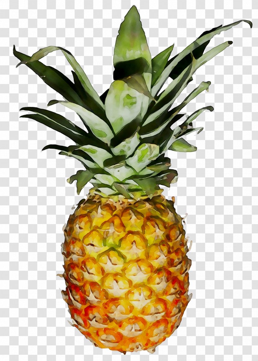 Pineapple - Food Transparent PNG