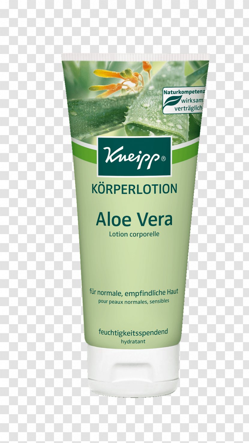 Cream Lotion Aloe Vera Skin Shea Butter - Aloevera Transparent PNG