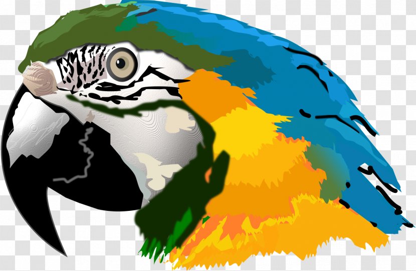Bird Parrot - Parakeet - Wildlife Transparent PNG