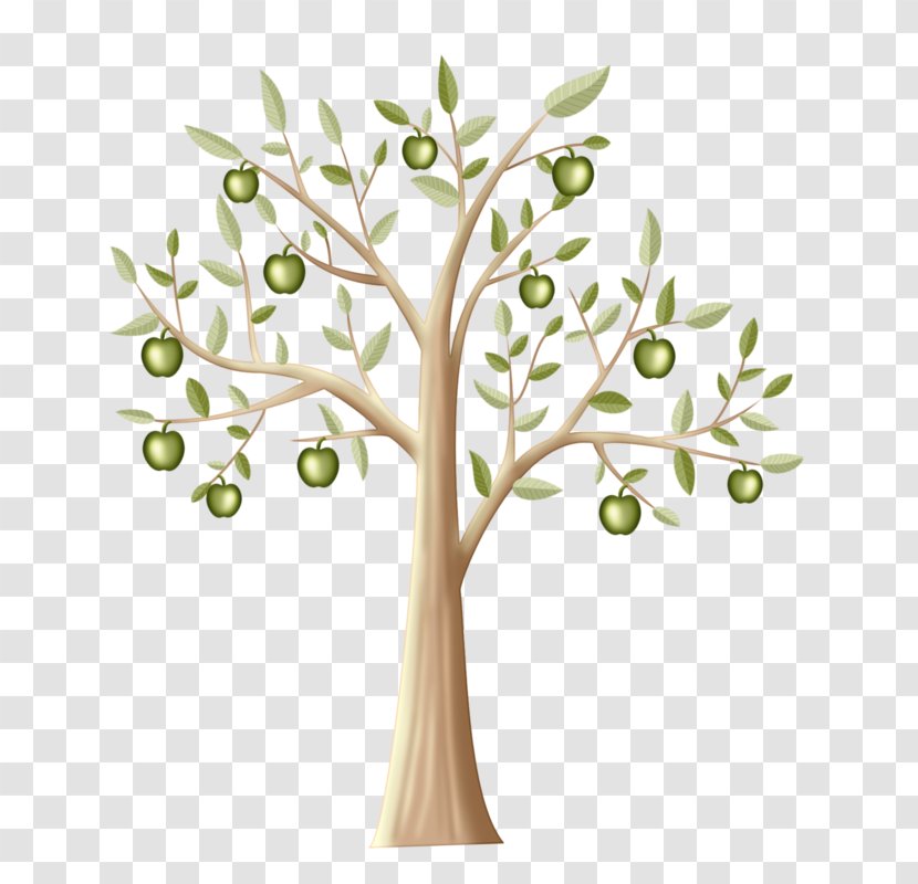 Manzana Verde Tree Apple Twig - Branch - Green Transparent PNG